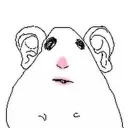 hamster_allears
