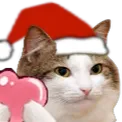 catlovechristmas