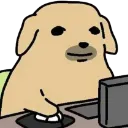 dognani