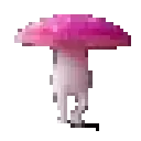 shroum_fungus