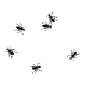 ants