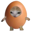 KittyEgg