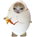 BrokenKittyEgg