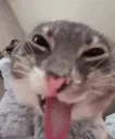 HEHEHE