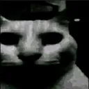 uncannycat