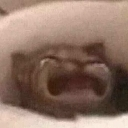 emoji_82 Discord sticker - Invictus