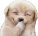 doggolaugh Discord emoji