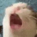 aaaaaaaa