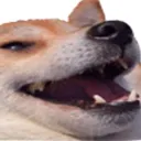 dogesh_bhai_laughing dogesh_bhai_laughing
