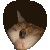 karmaCat_Lurk