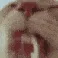 sg_milk