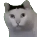 huh huh