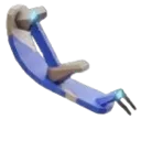skishoe skishoe
