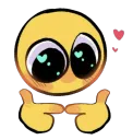 shyplead