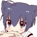 catboybite