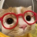 cat_nerd
