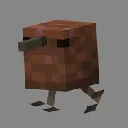 kiwiboi kiwiboi