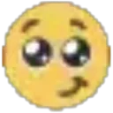 zzzshy