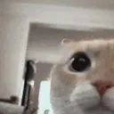 eerm eerm
