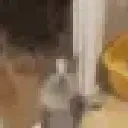 jumpycat jumpycat