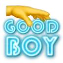 91603goodboy