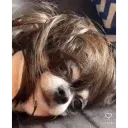 emoji_14 emoji_14