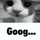 goog goog