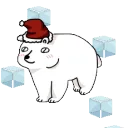2025dec_polar