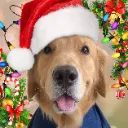 Coco_Festive