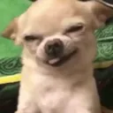 hehe hehe