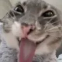 rigbytongue