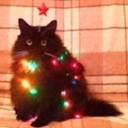 Merry_Christmas Discord emoji