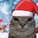 ChrisCat