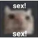 sex_sex