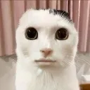 stare stare
