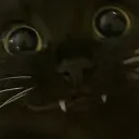 teef teef