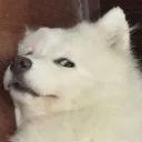 emoji_57