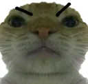 angory