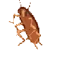 More_Dance