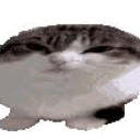 emoji_9 custom emote - ! SC³ | 𝘚𝘜𝘚𝘗𝘌𝘕𝘚𝘌