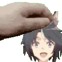 PetFuji
