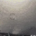 TheGreatestSkullThatsEverLived TheGreatestSkullThatsEverLived