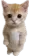 catstand