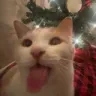 blehhhhhhhhhhhhhhhhhhhh