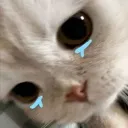 emoji_432
