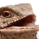 LizKek LizKek