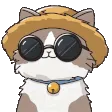 chillcat