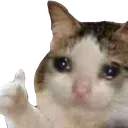 sadok