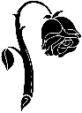 6999rose