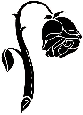 6999rose